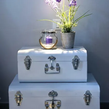 Bacio Di Dama Lingotto